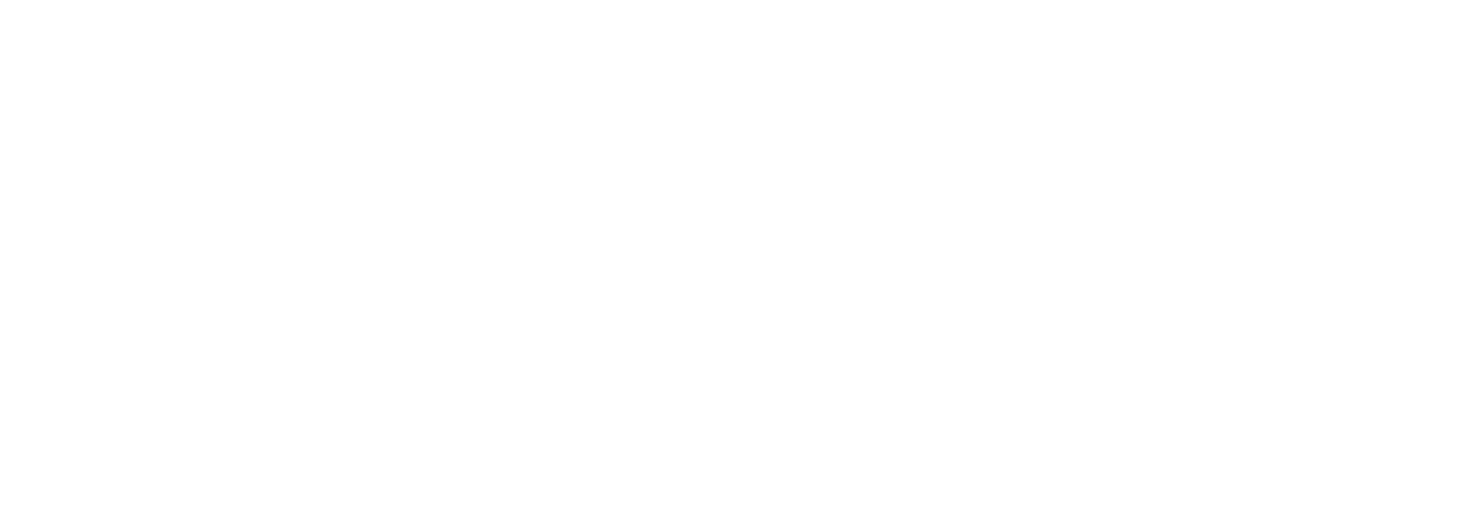 Vive Development